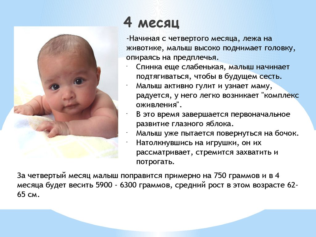От 4 до 5 месяцев