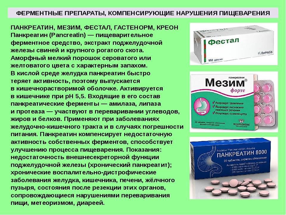 Мезим при беременности — инструкция по применению. можно ли принимать мезим при беременности