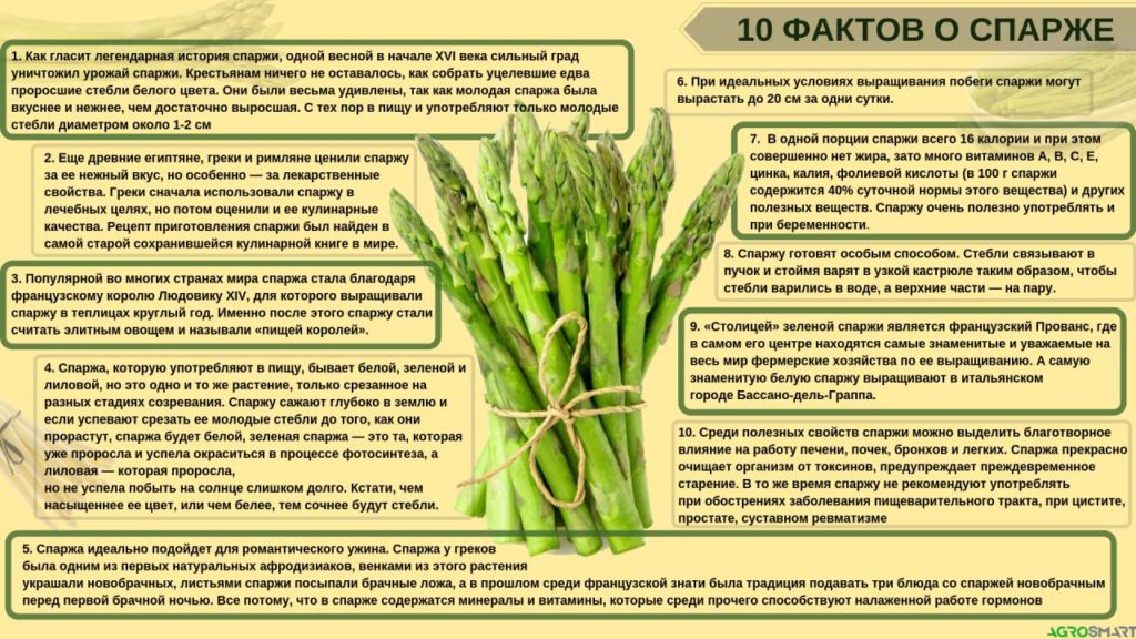 Список разрешенных продуктов для кормящей мамы при грудном вскармливании