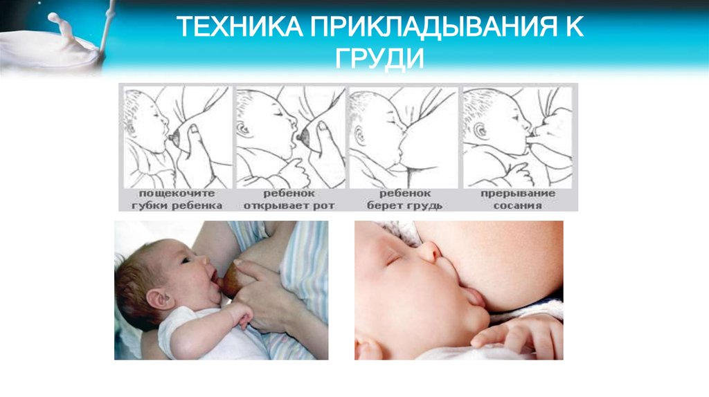 Прикладывание к груди новорожденного ребенка: правила, позы, ошибки