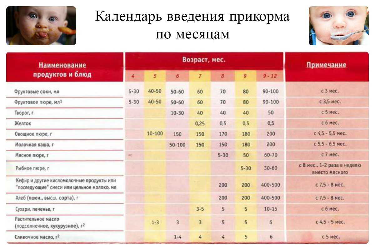 С какого возраста можно давать ребенку макароны: со скольки месяцев ввести в рацион, прикорм грудничку макоронными изделиями