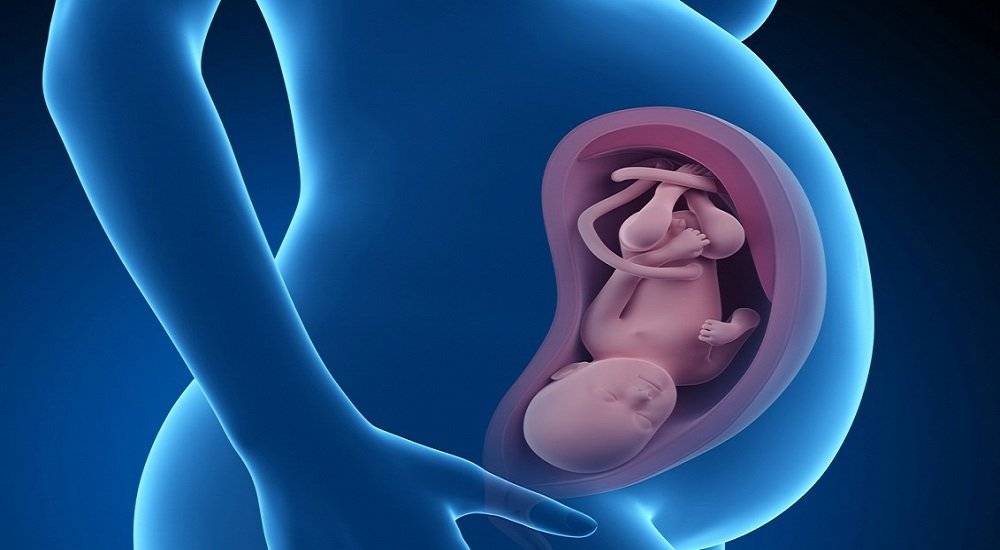 36 неделя беременности: предвестники родов, отличия истинных схваток от тренировочных