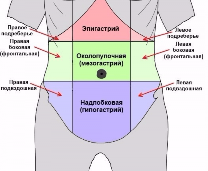 Боль в левом боку под ребрами (подреберье) - причины, лечение — клиника «доктор рядом»