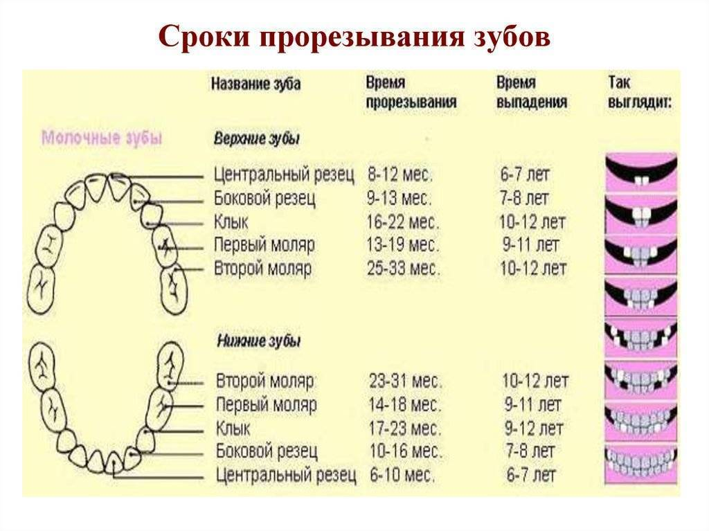 Проблемы при прорезывании зубов|ваш ребенок
