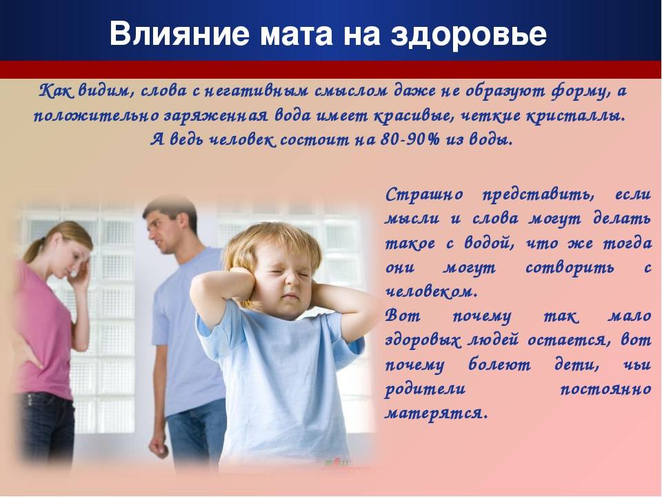 Что делать, когда дети ссорятся в одной семье и как их подружить — medalvian