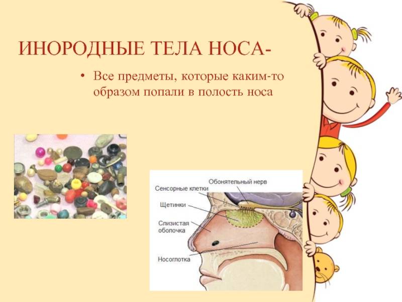 Что делать если в нос ребенку попало инородное тело - медтело.ру