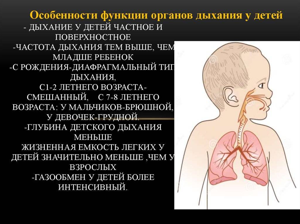 Затруднённое дыхание у ребёнка (трудно дышать): 7 вероятных причин от врача-педиатра