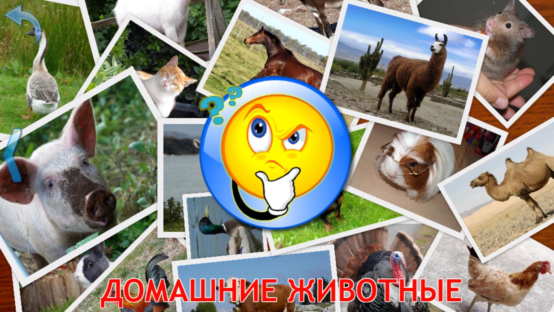 Развивающие мультики для детей от 2 лет для развития речи — список
