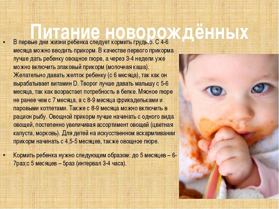 Советы комаровского: как правильно ввести овощи, каши и мясо в ситуации, когда ребёнок не хочет есть прикорм