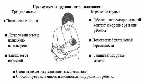 Можно ли забеременнеть при гв и кормить грудью при беременности