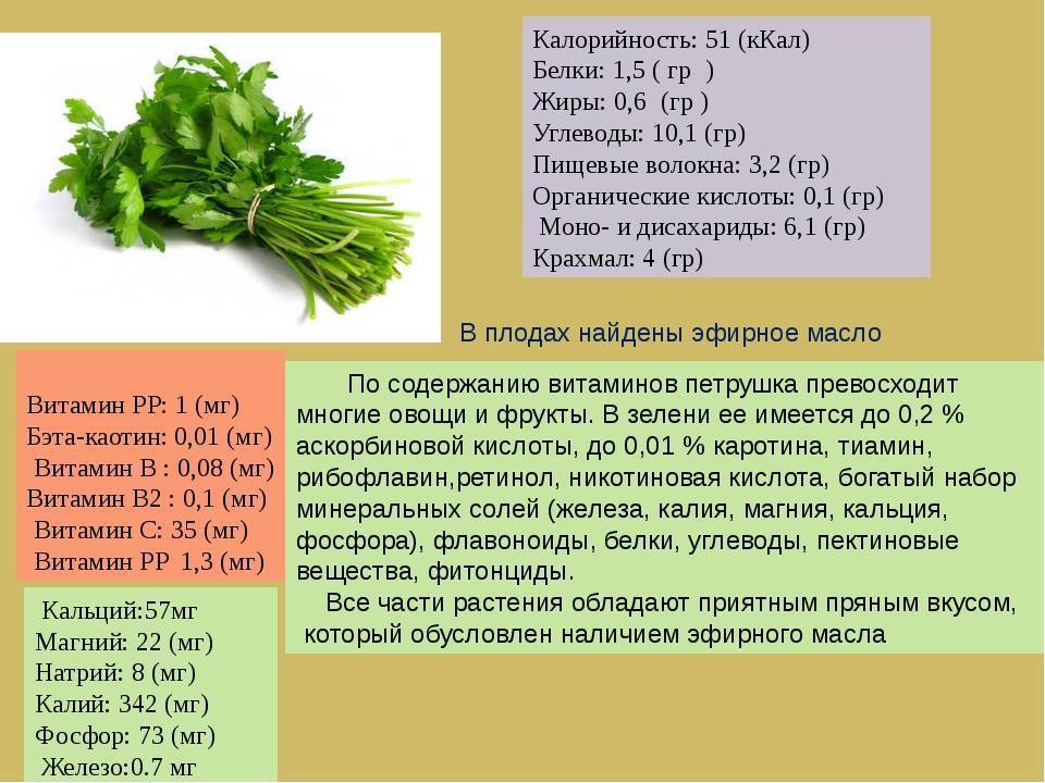 Укроп полезные свойства для женщин. Петрушка энергетическая ценность на 100 грамм. Калорийность петрушки. Калорийность зелени петрушки. Сколько калорий в петрудке.