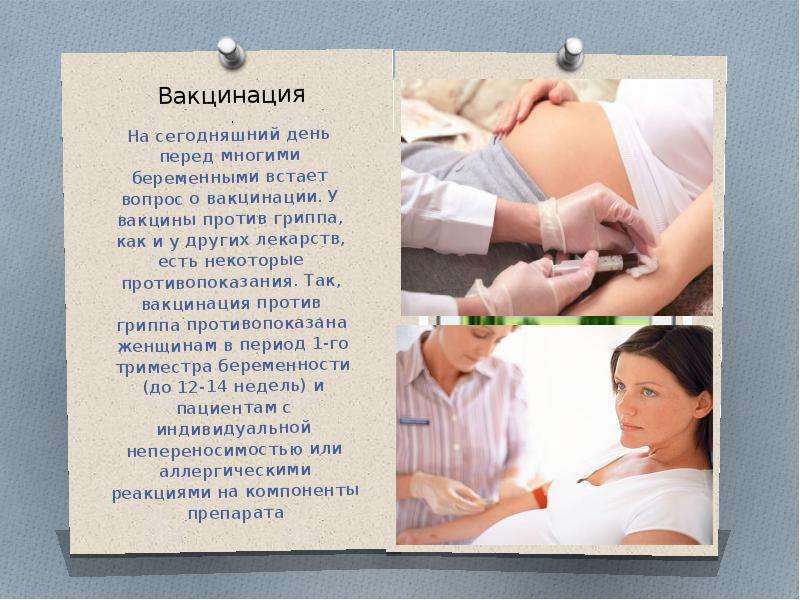 Вакцинация при беременности: заблуждения, приводящие к смерти от инфекций - акушерство