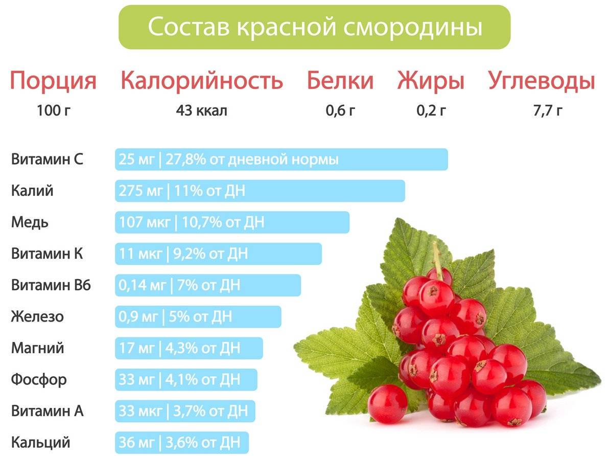 Польза красной. Какие витамины содержатся в красной смородине. Красная смородина витамины и микроэлементы. Пищевая ценность красной смородины. Красная смородина химический состав.