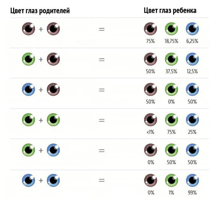 Цвет глаз у младенцев: как меняется и каким будет