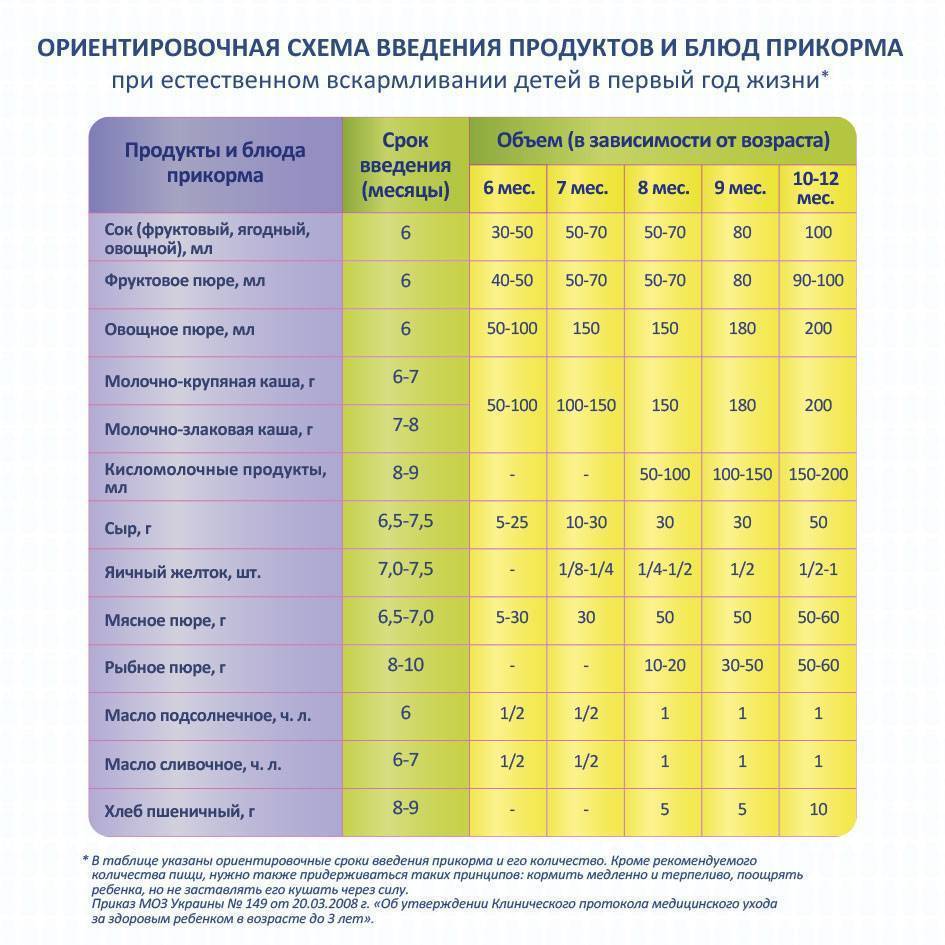 Педагогический прикорм при грудном вскармливании схема пошаговая инструкция