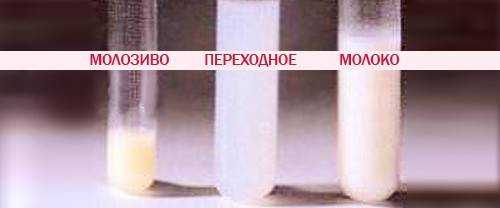 Молозиво при беременности: когда появляется и как выглядит, отклонения