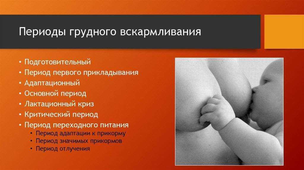 Когда и как отлучать ребенка от груди