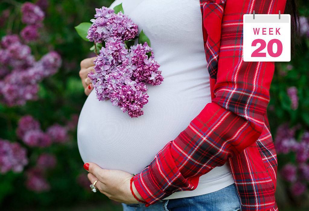 20 неделя беременности: нормы развития плода, ощущения мамы, живот, боли