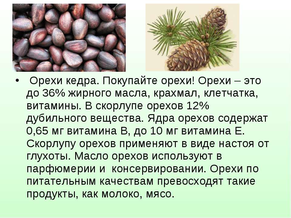 Орехи при грудном вскармливании: какие можно есть