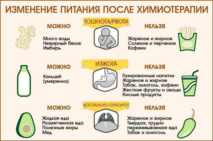 Когда можно начать есть после рвоты: оптимальное время ожидания