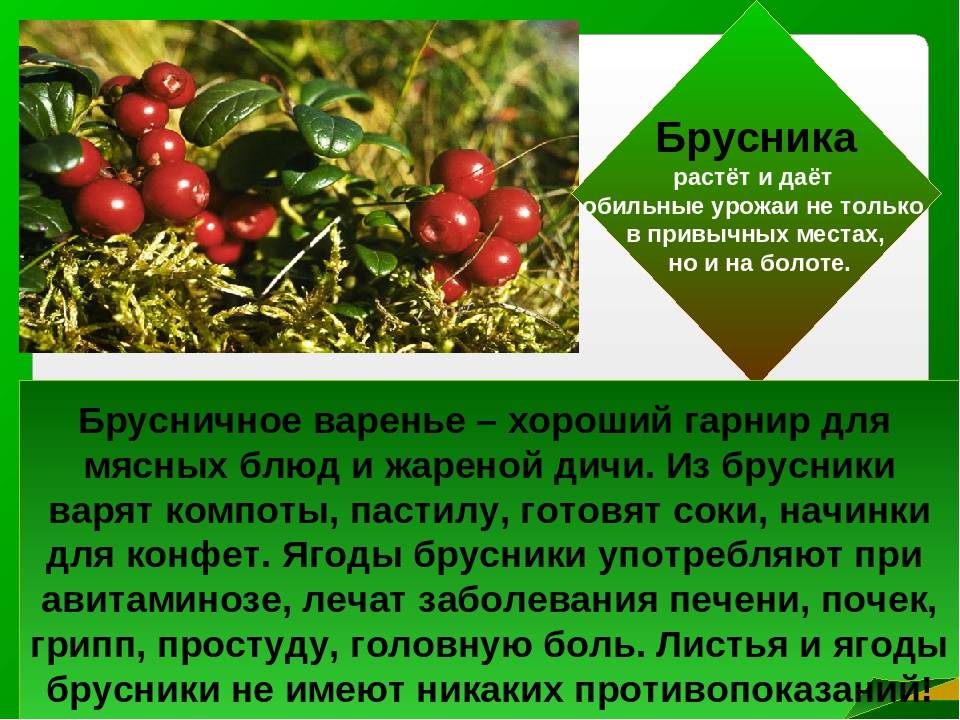 С какого возраста можно давать ребенку морс из брусники