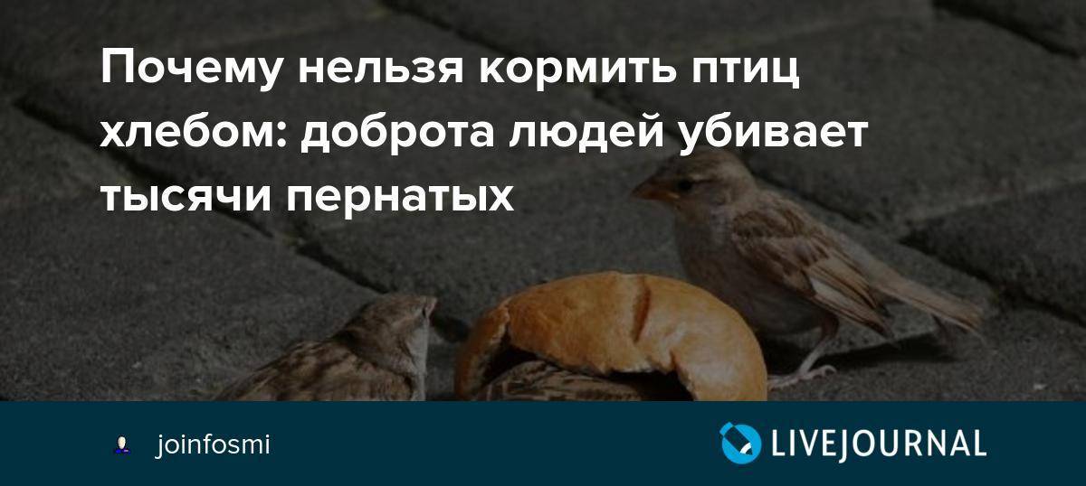 Гв, кто бросал кормить грудью летом? - страна мам