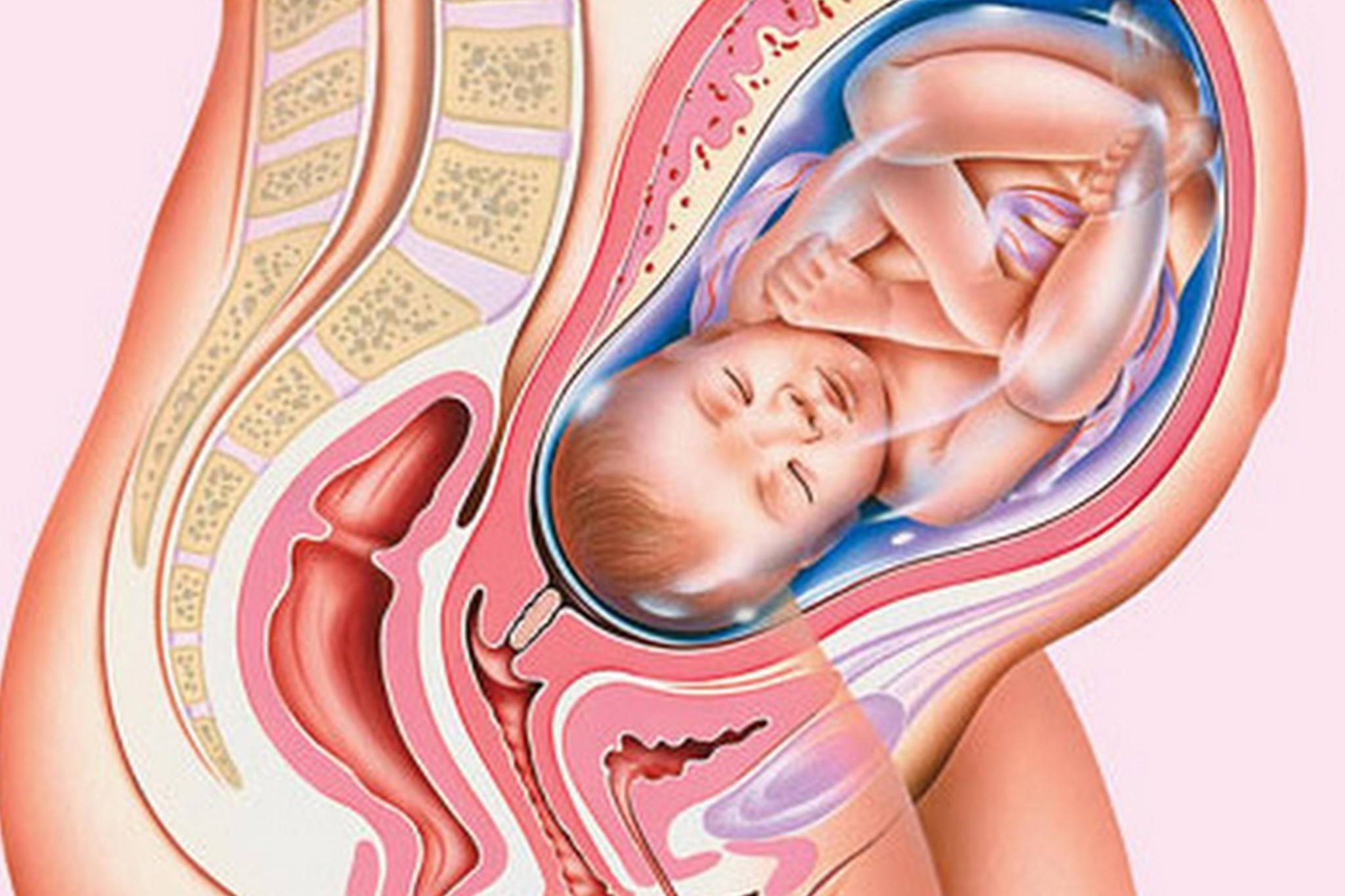 оргазм и гипертонус матки при беременности фото 68