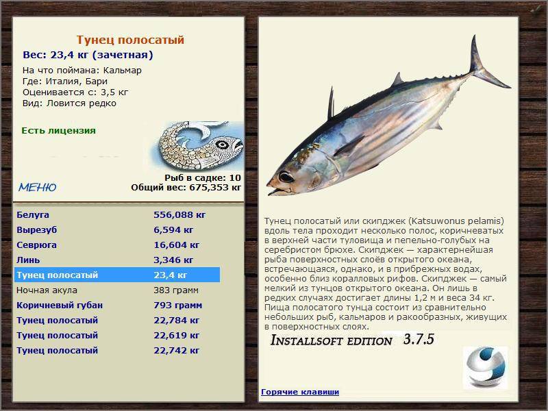 Тунец детям: с какого возраста