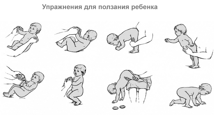 Когда ребенок начинает ползать - во сколько месяцев дети ползают самостоятельно