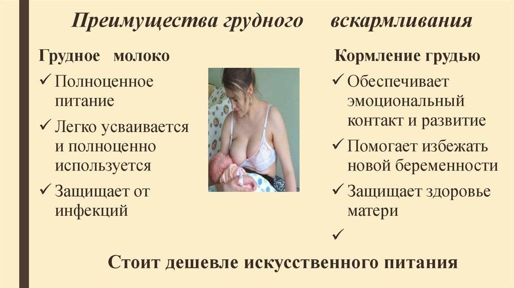 После родов сильно похудела: как набрать вес?