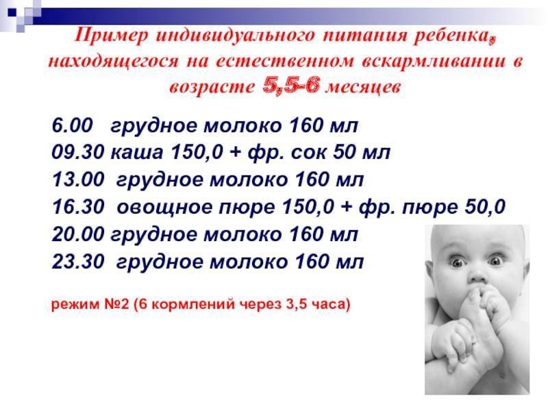 Грудное вскармливание в 6 месяцев: режим, прикорм, меню мамы