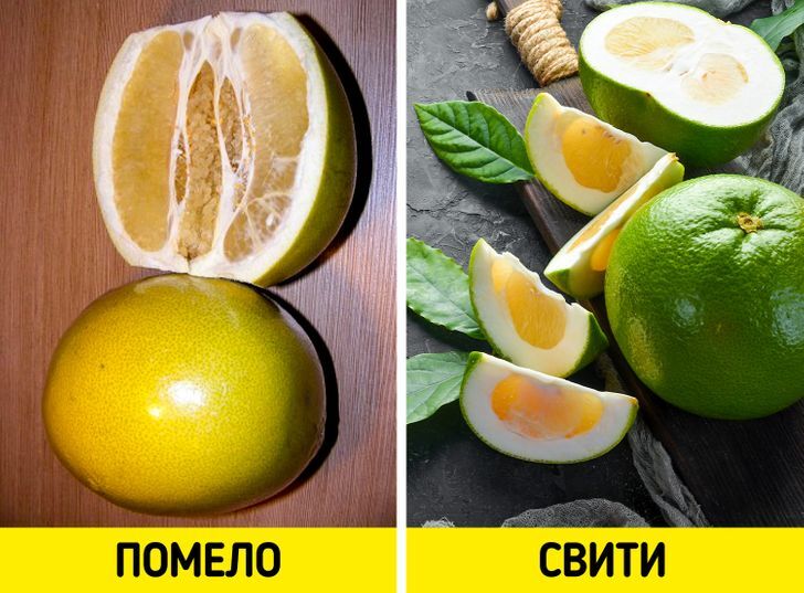 Свити (помелит, оробланко)