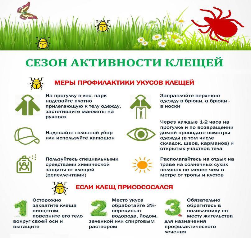 Как защитить ребенка от укуса клещей