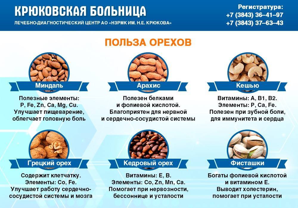 Можно ли на 1, 2, 3 триместре беременности и при лактации кушать грецкие, кешью, бразильские, кедровые или миндальные орехи: польза и вред