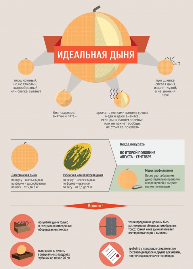 Можно ли дыню кормящей маме?