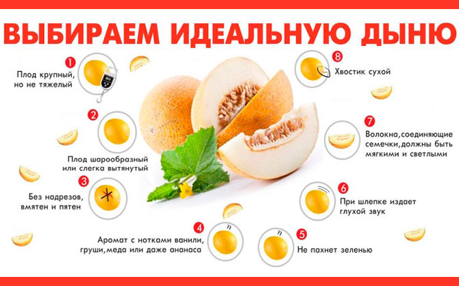 Можно ли арбуз беременным и при грудном вскармливании. можно ли кормящей маме арбуз и сколько его можно съесть