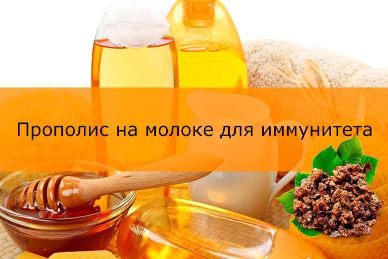 Когда детям можно давать прополис: лечебные свойства, противопоказания и способы применения