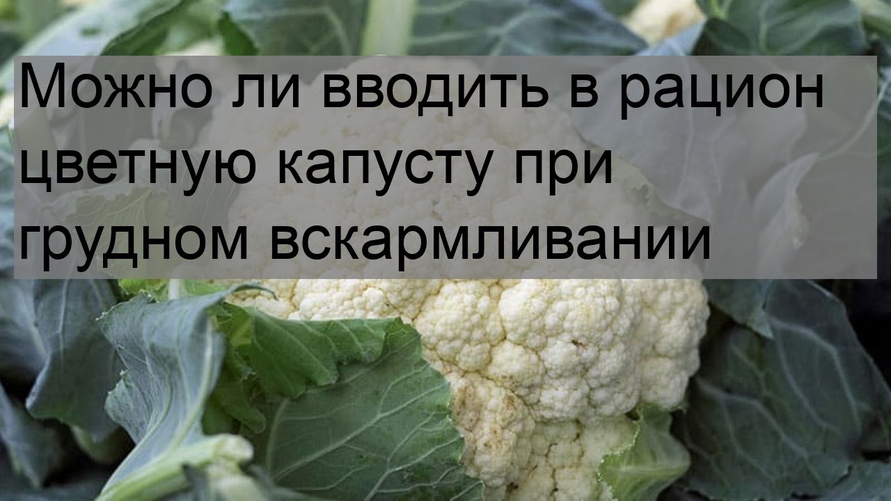 Рецепты для кормящих мам: самые полезные и вкусные блюда