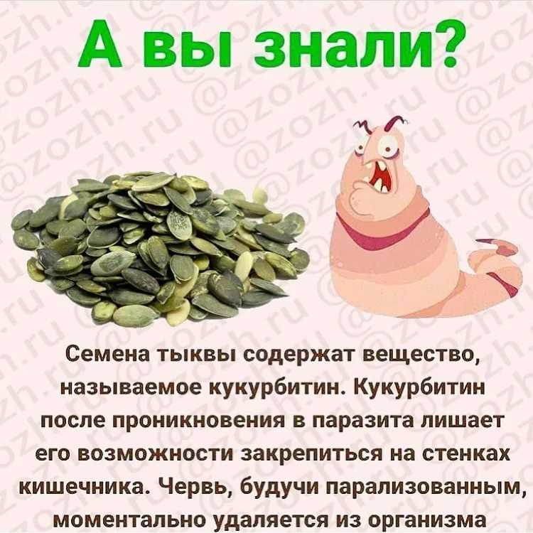 Можно ли беременным тыквенные семечки на ранних сроках или перед родами, в каком виде их нужно употреблять, и кому стоит отказаться от лакомства?