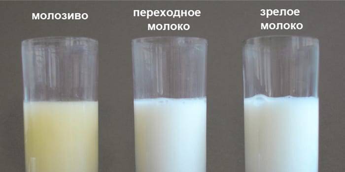 На какой день приходит молоко после родов у первородящих и у повторнородящих  | семья и мама