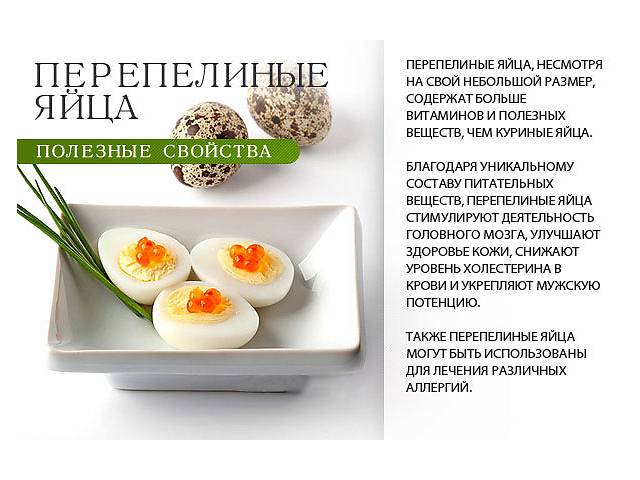 Вареные перепелиные яйца: польза и вред для ребенка и взрослого, как употреблять