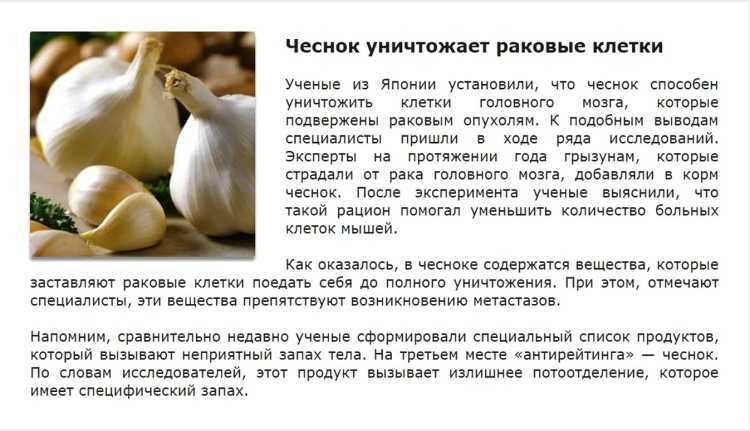 Чеснок при грудном вскармливании - можно или нет, польза и вред