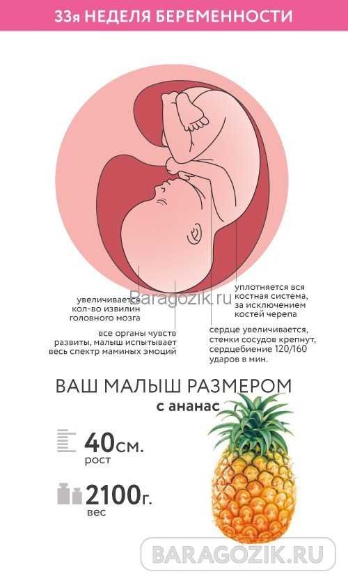 Календарь беременности. 32-я акушерская неделя