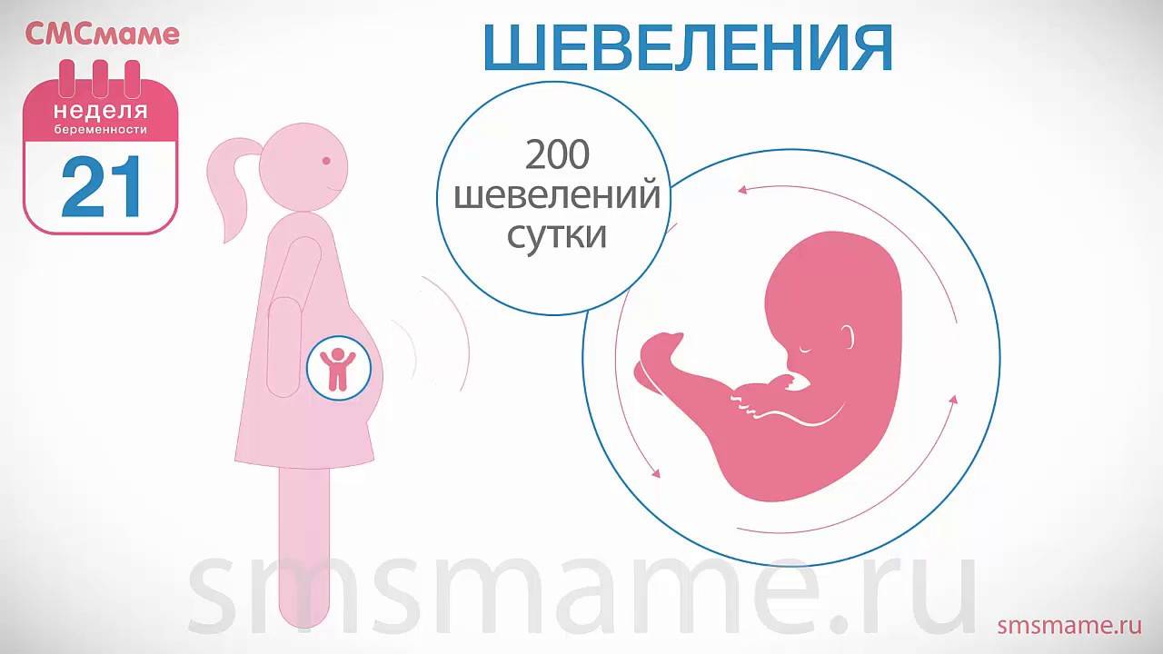 21 неделя беременности: развитие ребенка, питание, советы