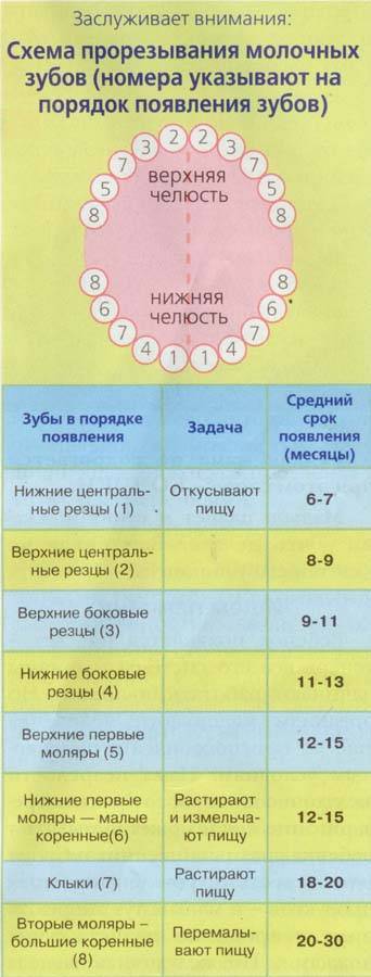 При прорезывании зубов у ребенка поднялась температура