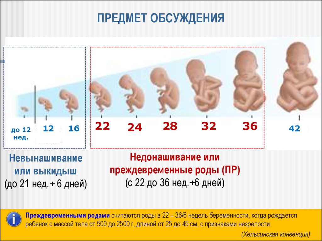 Признаки на 5 месяце