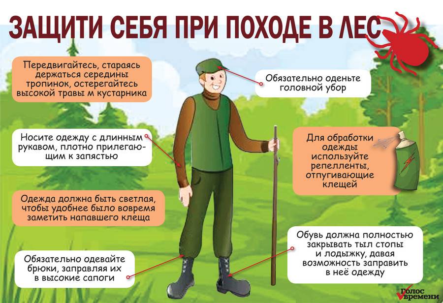 Чего бояться клещи и как предотвратить их появление