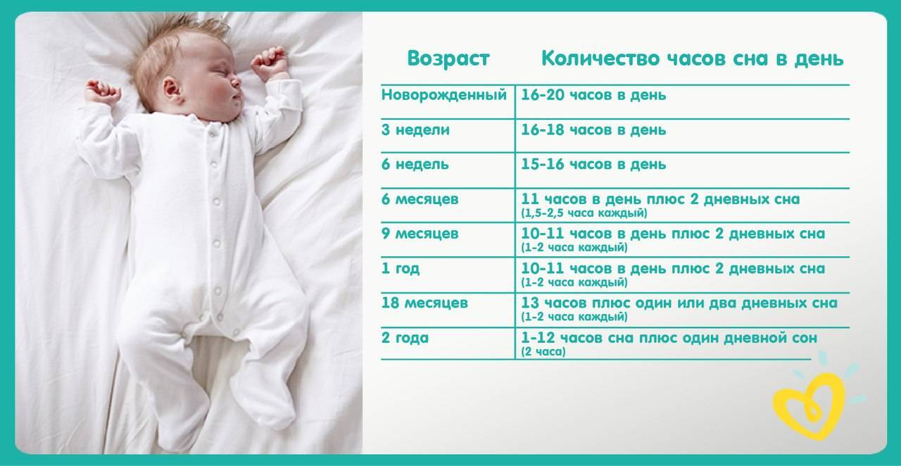 Режим дня грудничка: кому он нужен, и как научить ребёнка его соблюдать?