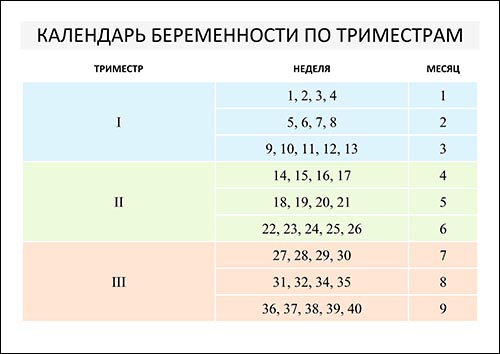 Триместры беременности по неделям