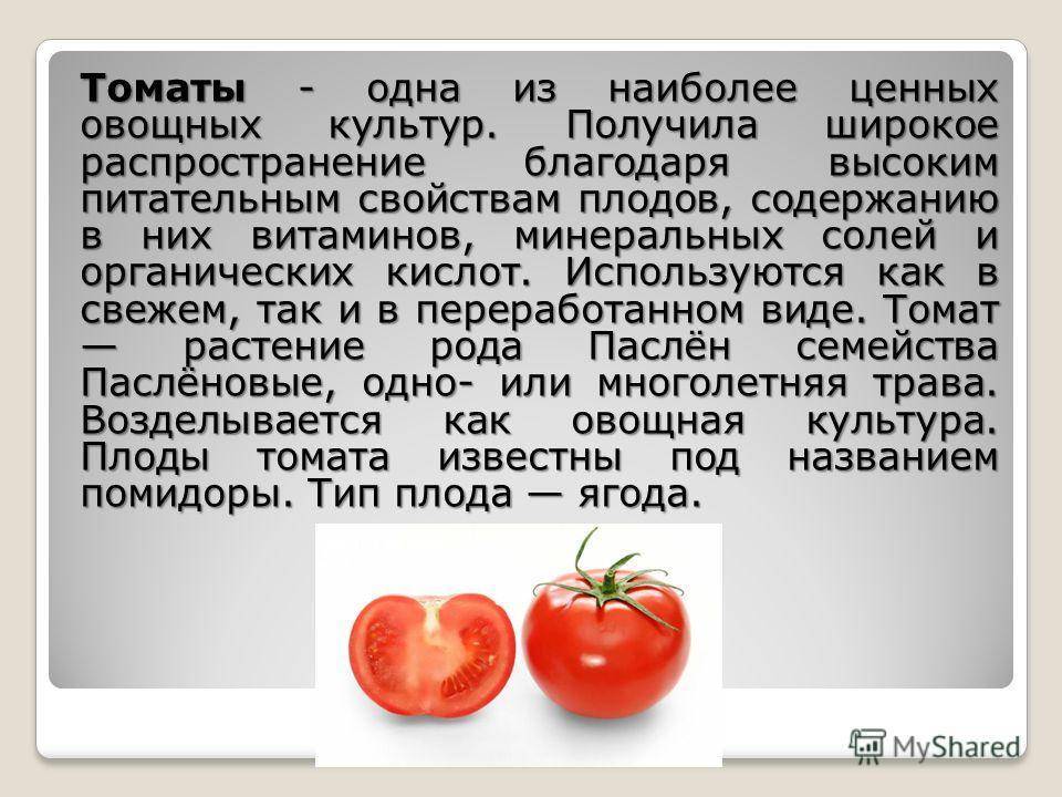 Помидоры при грудном вскармливании